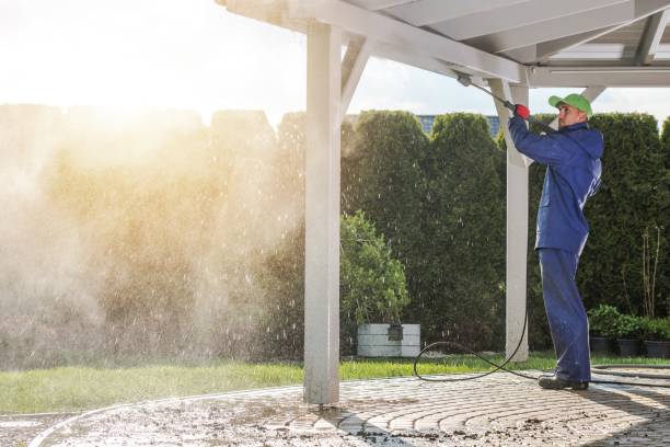 Best Soft Washing  in Willow Springs, MO